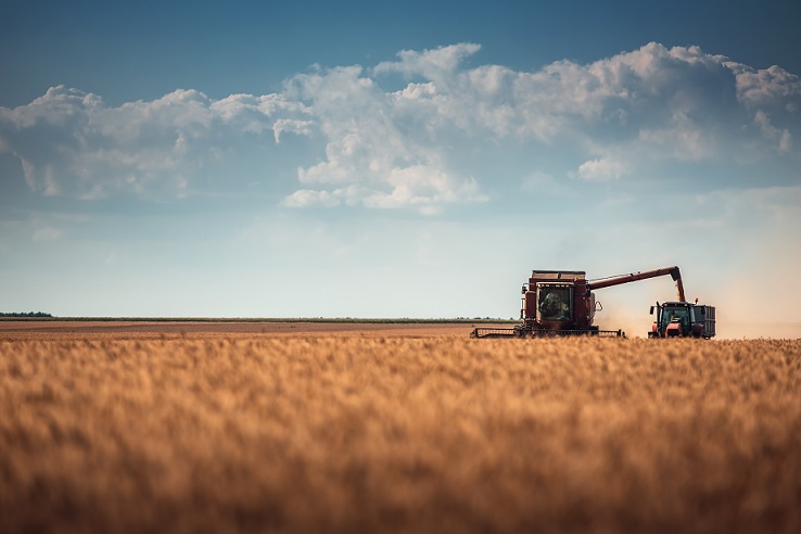 Foto de Agricultura publicita la relación provisional de ayudas directas al cereal de invierno para explotaciones agrarias afectadas por la sequía
