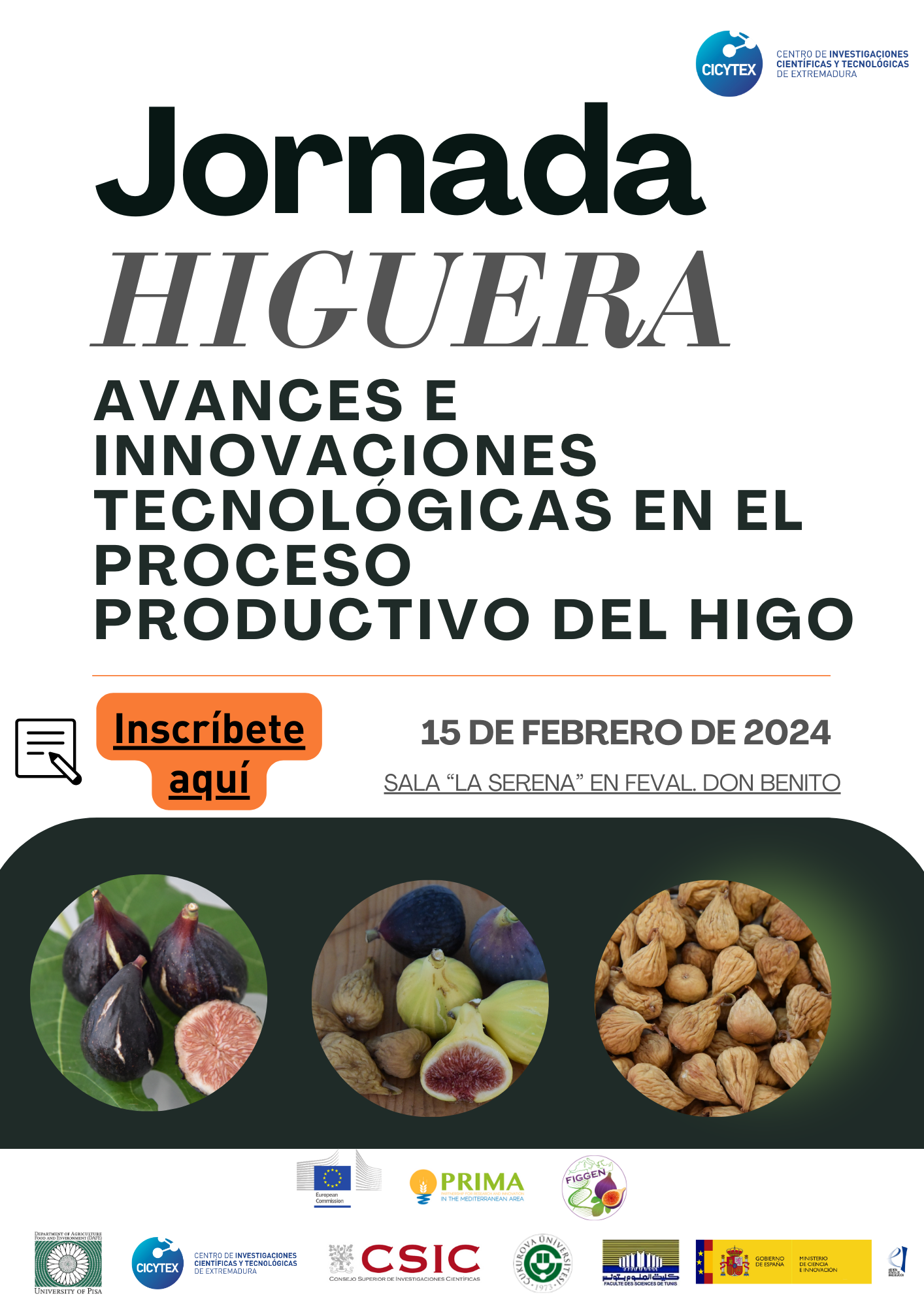 Image 4 of article Una investigación de CICYTEX destaca el potencial del cultivo del higo en Extremadura