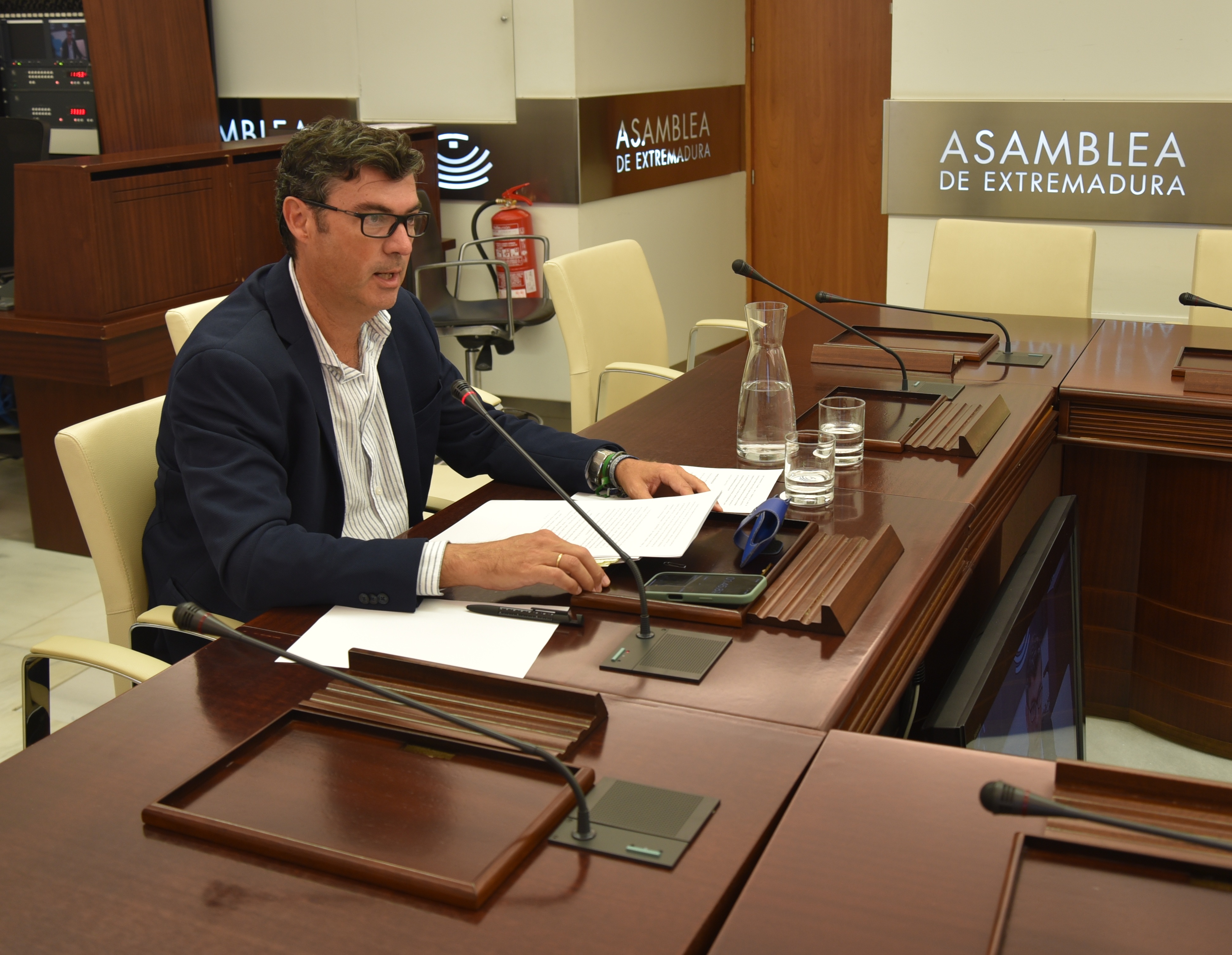 El director general 
